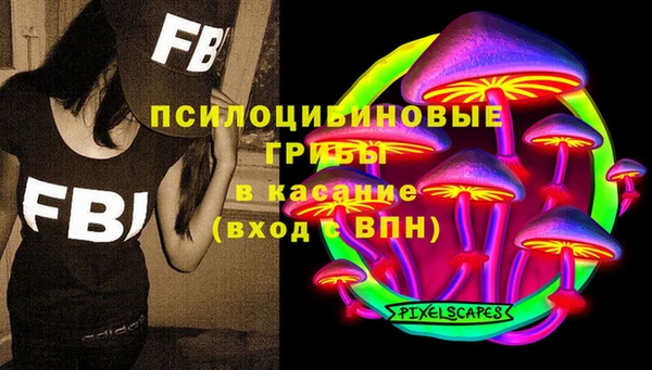 гашик Володарск
