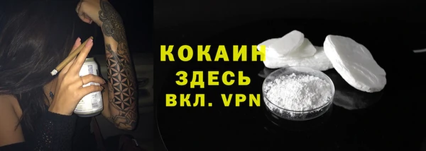гашик Володарск
