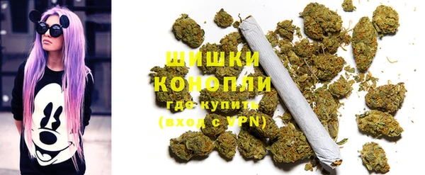 гашик Володарск