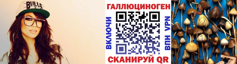 как найти Пикалёво Псилоцибиновые грибы Psilocybine cubensis