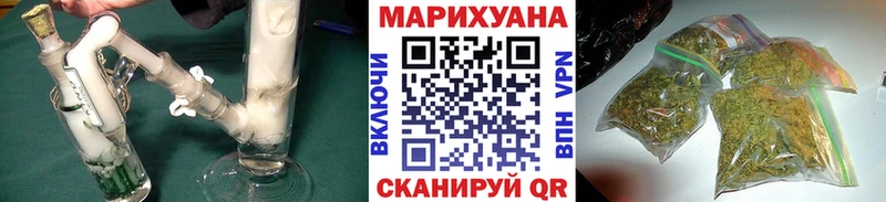 где найти наркотики  Пикалёво  Конопля гибрид 